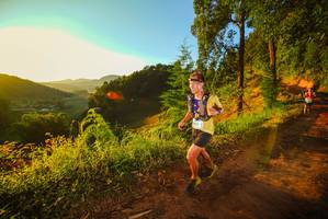 BIB: 
                            <button type="button" onclick="openModal(19168570)" class="btn btn-primary btn-sm float-right btn-popup" data-toggle="modal" data-target=".modal-high-quality">
                        <i class="fas fa-shopping-cart"></i> Add to Cart
                    </button>
                                            <button type="button" onclick="isThisMe(19168570, true)" class="btn btn-success btn-sm float-right btn-popup btn-isme hidden" data-toggle="tooltip" data-placement="bottom" title="นี่คือรูปของคุณใช่ไหม คลิกที่นี่เพื่อเอาเข้าอัลบั้ม">
                        <i class="fas fa-plus"></i> Add to album
                    </button>
                    <button type="button" onclick="isThisMe(19168570, false)" class="btn btn-warning btn-sm float-right btn-popup btn-isnotme hidden">
                        <i class="fas fa-ban"></i> Remove from album
                    </button>